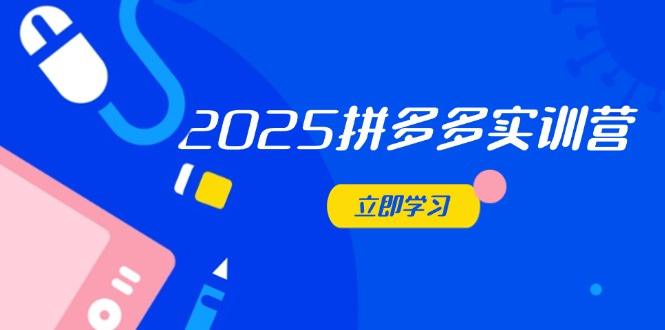 2025拼多多实训营：深度剖析运营关键，助力电商人快速提升-偏门项目网