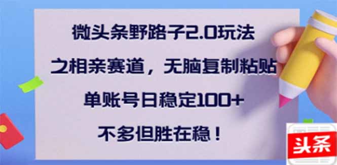 微头条野路子2.0玩法之相亲赛道，无脑搬砖复制粘贴，单账号日稳定300+…-偏门项目网