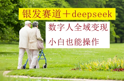 银发赛道+deepseek数字人全域变现，小白也能操作-偏门项目网