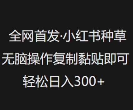 全网首发，小红书种草无脑操作，复制黏贴即可，轻松日入3张-偏门项目网