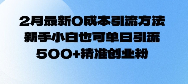 2月最新0成本引流方法，新手小白也可单日引流500+精准创业粉-偏门项目网