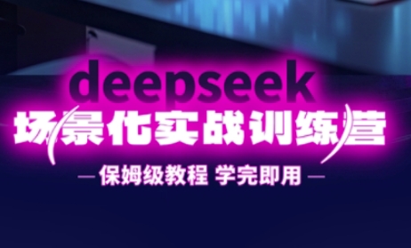 DeepSeek场景化实战训练营，保姆级教程，学完即用，手把手教你用DeepSeek提升效率-偏门项目网
