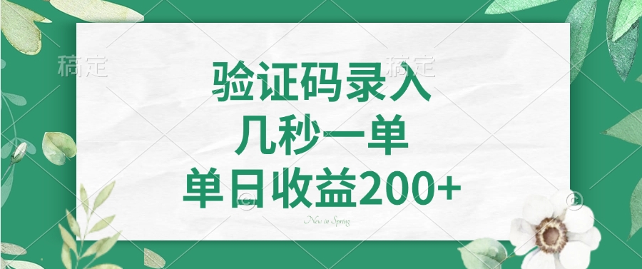 验证码录入，几秒一单，单日收益200+-偏门项目网