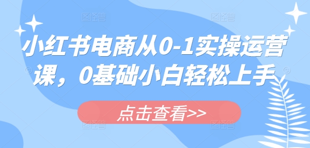 小红书电商从0-1实操运营课，0基础小白轻松上手-偏门项目网