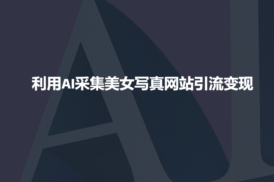 利用AI采集美女写真网站引流变现，引流嘎嘎的-偏门项目网