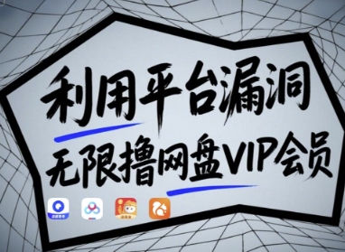 利用平台漏洞，无限撸网盘VIP会员，用户亲测有效!【漏洞原理+操作演示】-偏门项目网