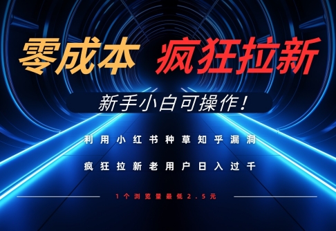 利用小红书种草知乎漏洞，零成本疯狂拉新日入数张，新手小白可操作-偏门项目网