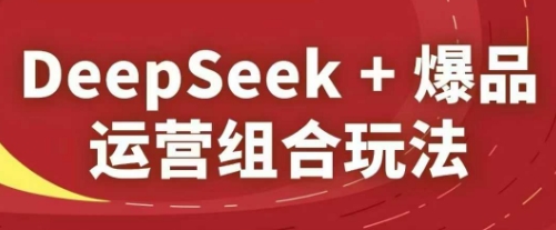 DeepSeek+爆品运营组合玩法，2025淘系精品课-偏门项目网