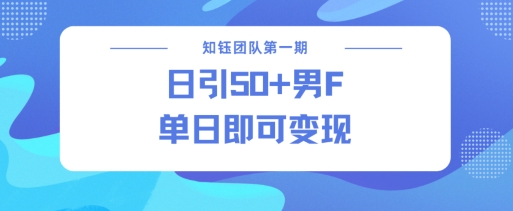 男粉引流新方法不违规，当日即可变现-偏门项目网