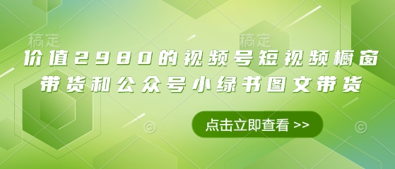 价值2980的视频号短视频橱窗带货和公众号小绿书图文带货-偏门项目网