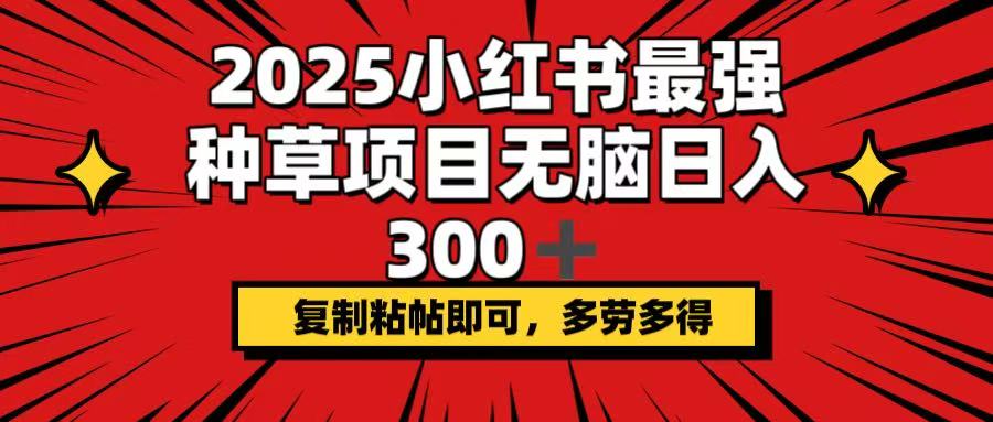 2025小红书最强种草项目，无脑日入300+，复制粘帖即可，多劳多得-偏门项目网