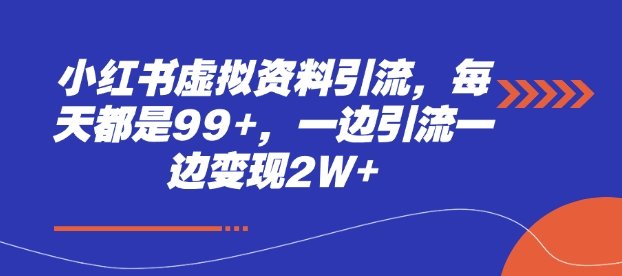 小红书虚拟资料引流，每天都是99+，一边引流一边变现2W+-偏门项目网