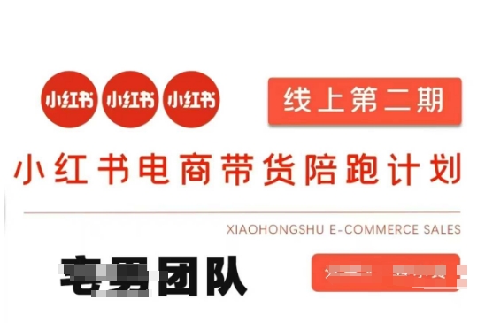 小红书电商带货课2期，月利润20个的小红书电商的有货源，无货源，虚拟产品，付费投流等整套玩法-偏门项目网
