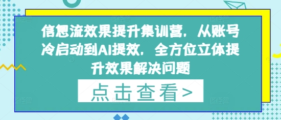 信息流效果提升集训营，从账号冷启动到AI提效，全方位立体提升效果解决问题-偏门项目网