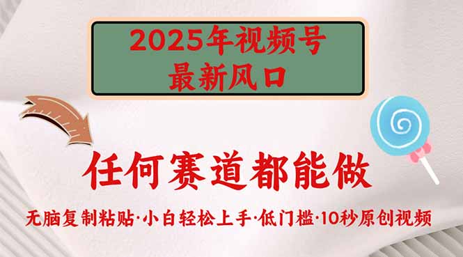 2025年视频号新风口，低门槛只需要无脑执行-偏门项目网