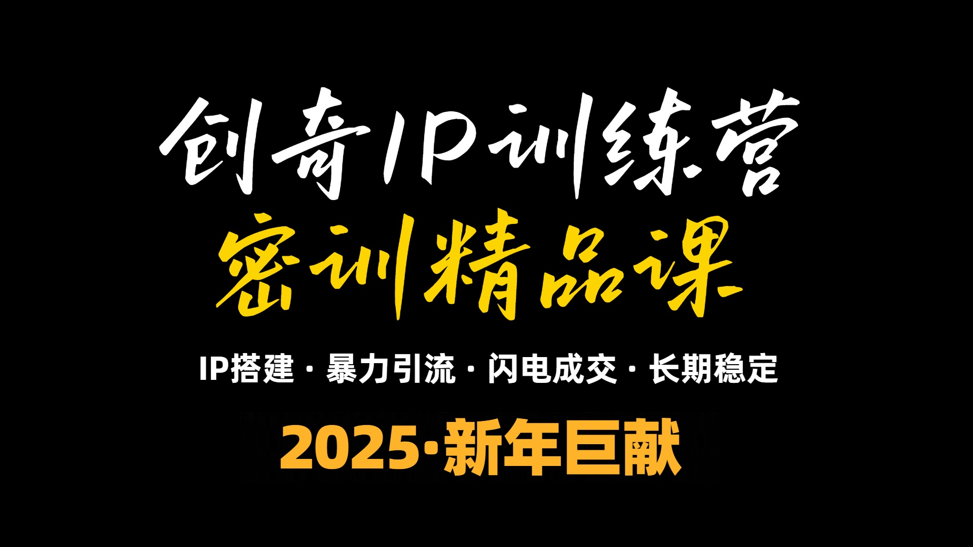 2025年“知识付费IP训练营”小白避坑年赚百万，暴力引流，闪电成交-偏门项目网
