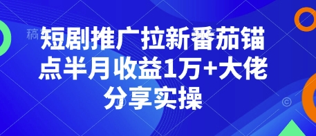 短剧推广拉新番茄锚点半月收益1万+大佬分享实操-偏门项目网