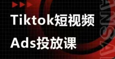 Ads视频投放课，tiktok短视频广告投放课-偏门项目网