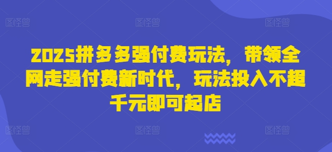 2025拼多多强付费玩法，带领全网走强付费新时代，玩法投入不超千元即可起店-偏门项目网