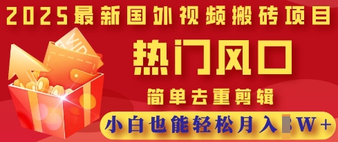 2025最新视频搬砖项目，热门风口，简单去重剪辑，小白也能轻松月入过W-偏门项目网