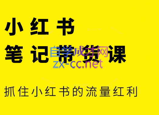张宾·小红书笔记带货课(更新4月)-偏门项目网