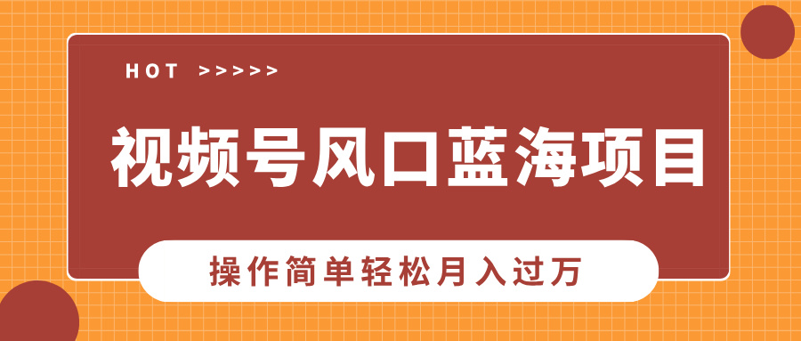 视频号风口蓝海项目，中老年人的流量密码，操作简单轻松月入过万-偏门项目网