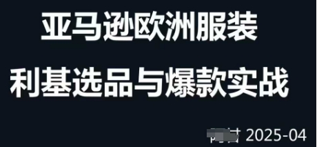跨境电商选品案例24-25年，聚焦跨境电商选品策略与运营优化，助力卖家挖掘蓝海市场-偏门项目网