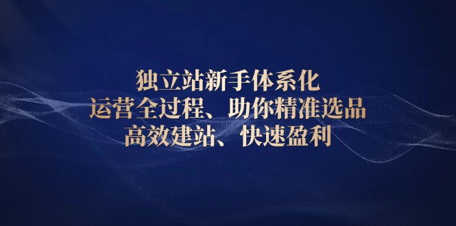 独立站新手体系化 运营全过程，助你精准选品、高效建站、快速盈利-偏门项目网