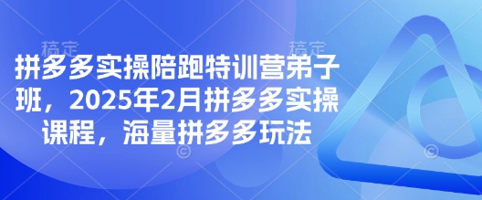 拼多多实操陪跑特训营弟子班，2025年2月拼多多实操课程，海量拼多多玩法-偏门项目网