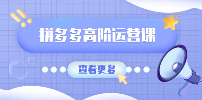 拼多多高阶运营课：极致群爆款玩法，轻付费无尽复制，打造单品爆款之路-偏门项目网