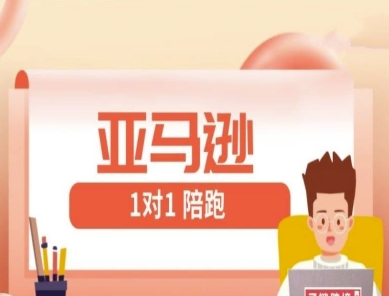 亚马逊1对1陪跑课(FBA/FBM精铺)跨境亚马逊教程-偏门项目网