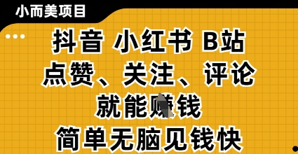小而美的项目，抖音小红书B站视频点赞、关注、评论就能挣钱，简单无脑立见收益，妥妥的零撸项目【揭秘】-偏门项目网