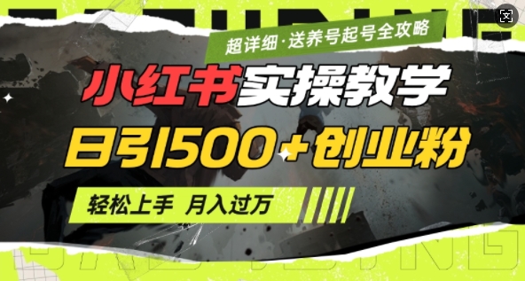 2月小红书最新日引500+创业粉实操教学【超详细】小白轻松上手，月入1W+，附小红书养号起号SOP-偏门项目网
