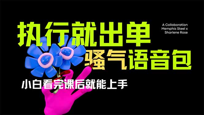 爆火全网的开车导航骚气语音包,只要执行就出单，小白看完课程就能实操…-偏门项目网