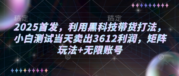2025首发，利用黑科技带货打法，小白测试当天卖出3612利润，矩阵玩法+无限账号【揭秘】-偏门项目网