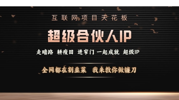 互联网项目天花板，超级合伙人IP，全网都在割韭菜，我来教你做镰刀【仅揭秘】-偏门项目网