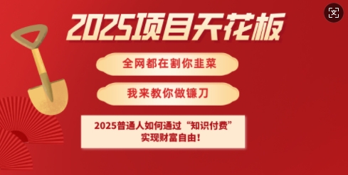 2025项目天花板普通人如何通过知识付费，实现财F自由【揭秘】-偏门项目网